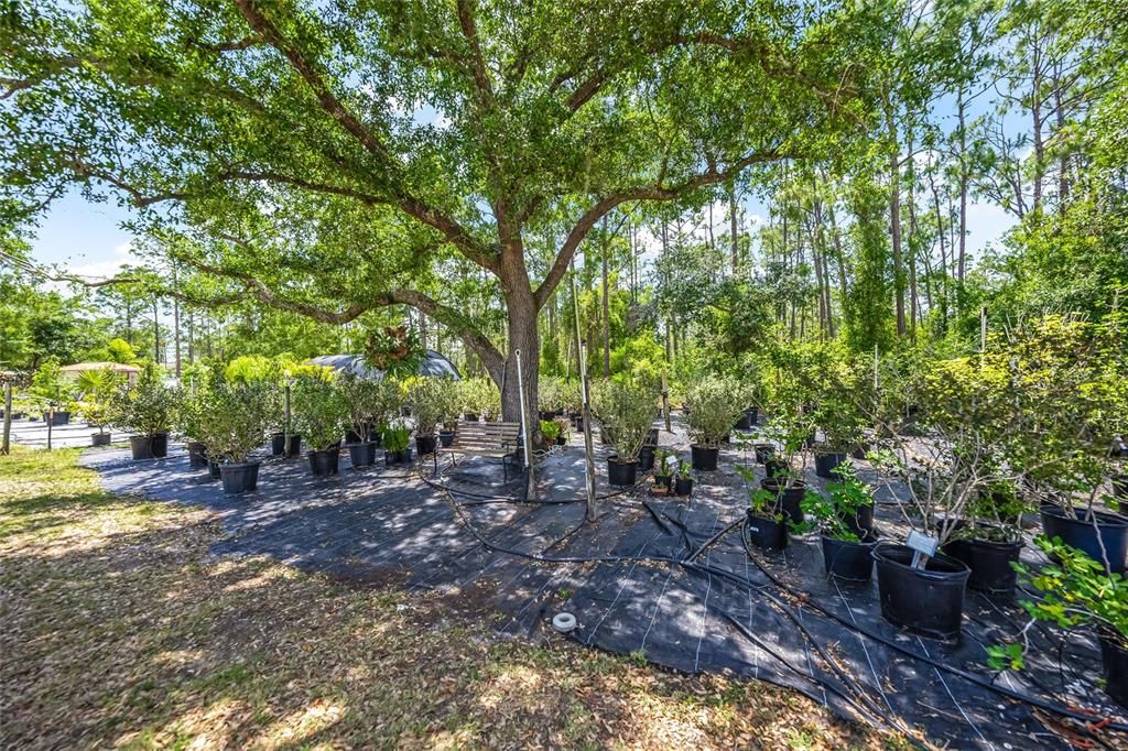 En Venta: $7,999,000 (13.83 acres)