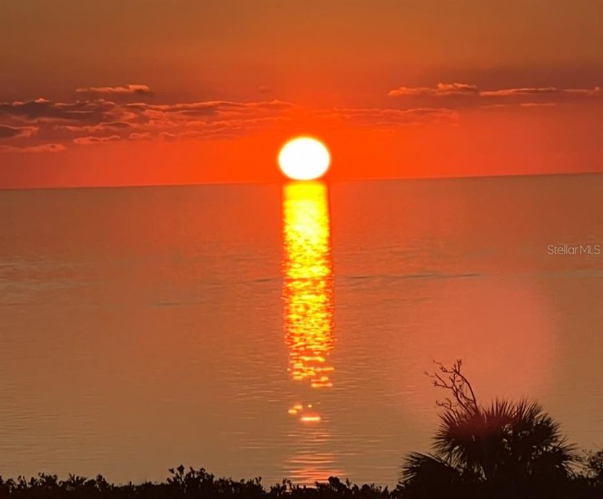 For Sale: $224,900 (1 beds, 1 baths, 733 Square Feet)