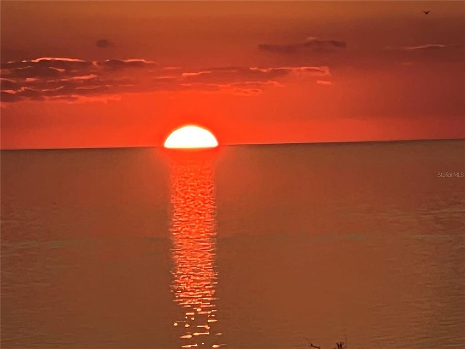 For Sale: $224,900 (1 beds, 1 baths, 733 Square Feet)