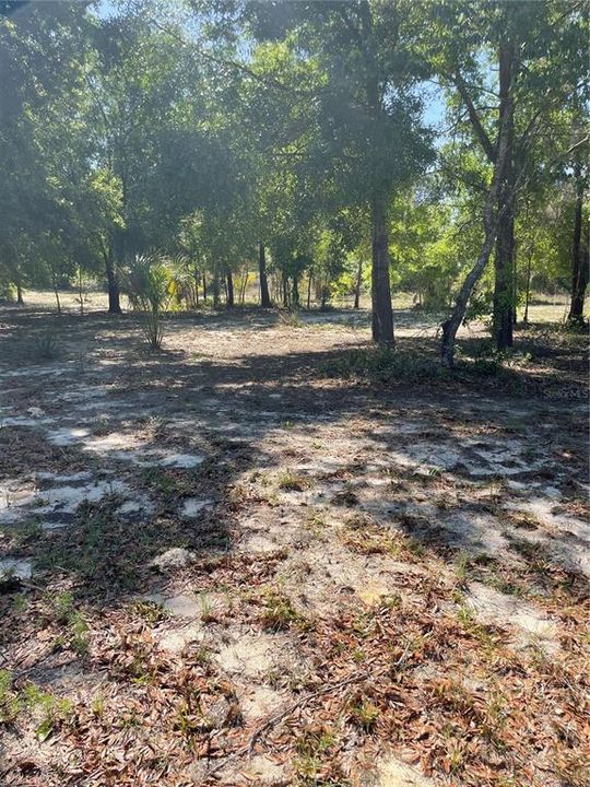 Recently Sold: $34,000 (1.00 acres)