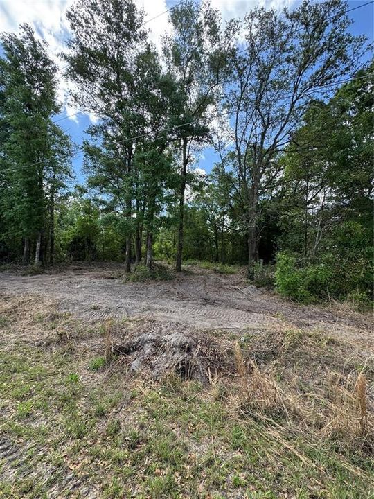 For Sale: $60,000 (0.34 acres)