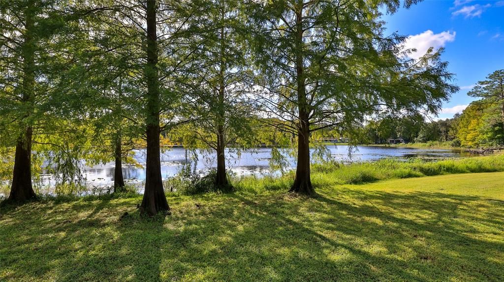 For Sale: $1,999,999 (5 beds, 5 baths, 6077 Square Feet)