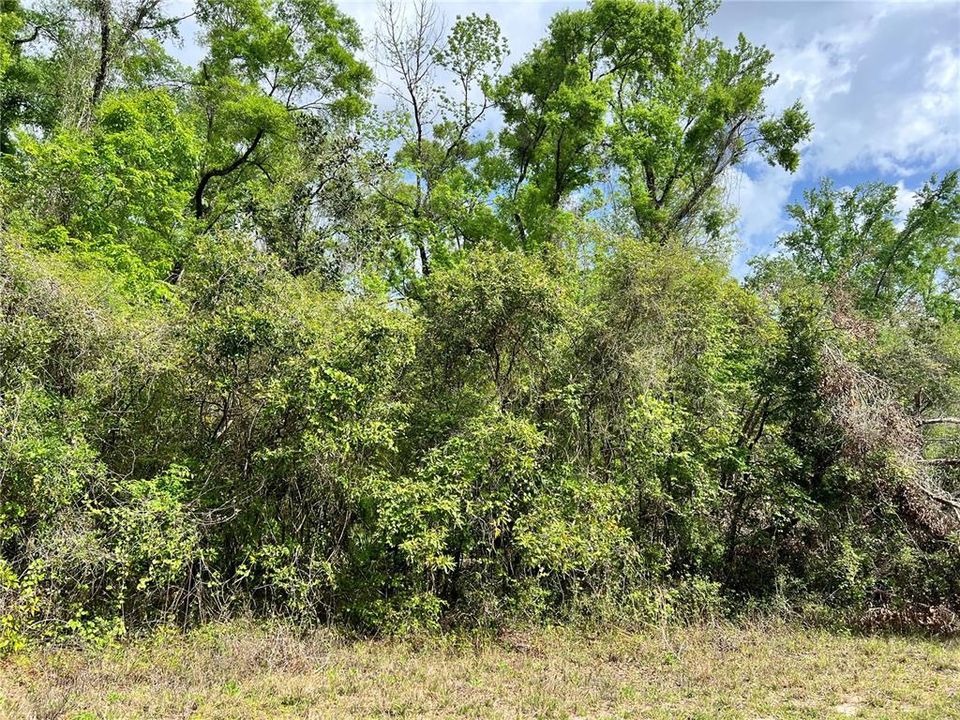 Recently Sold: $86,500 (8.00 acres)
