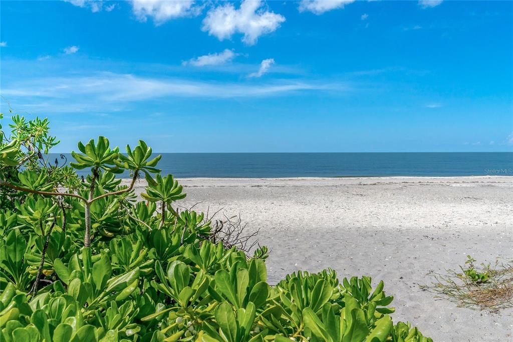 For Sale: $999,999 (0.45 acres)