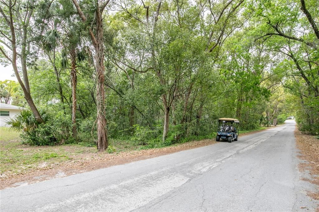 Active With Contract: $105,000 (0.48 acres)