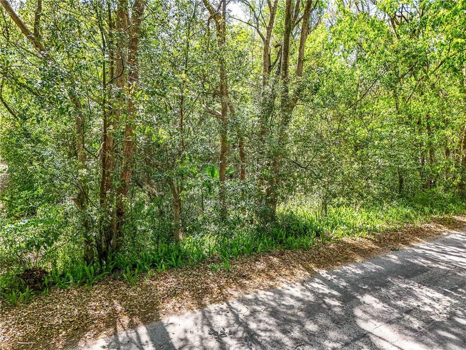 Active With Contract: $105,000 (0.48 acres)