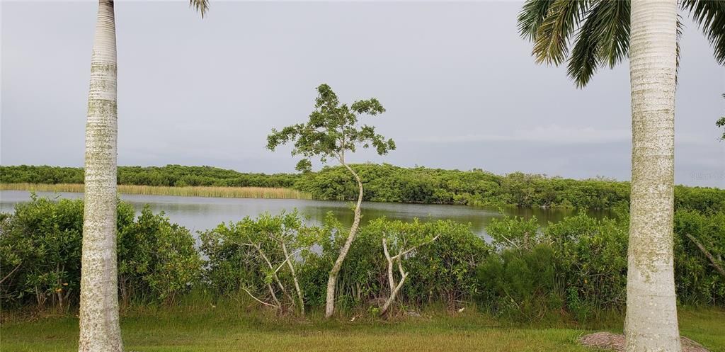 For Sale: $25,000 (0.23 acres)