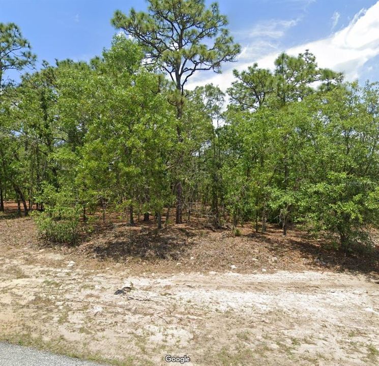 最近售出: $23,500 (0.32 acres)