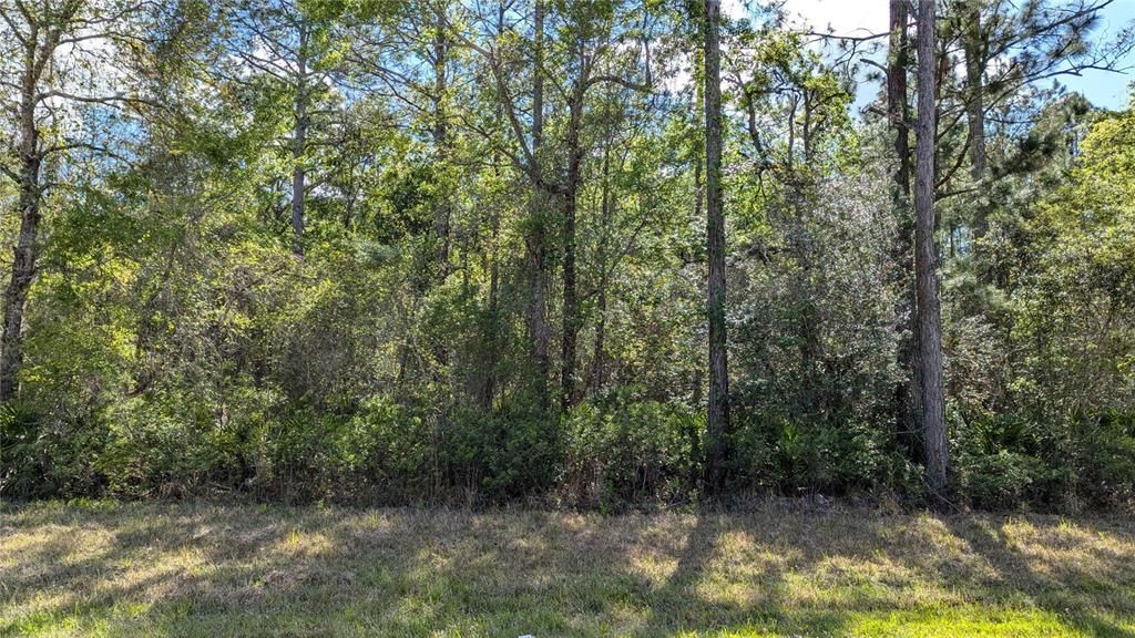 待售: $77,000 (7.55 acres)