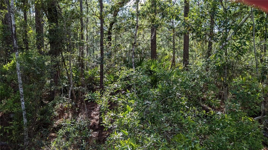 待售: $77,000 (7.55 acres)