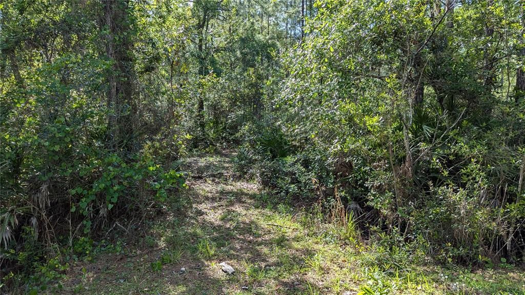 待售: $77,000 (7.55 acres)