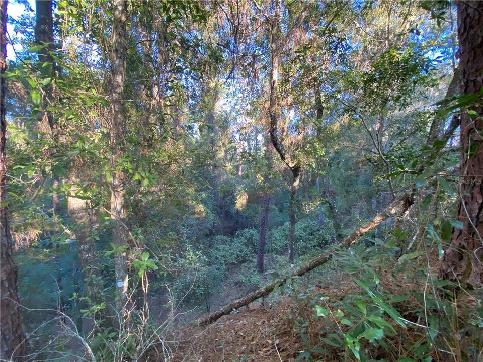 For Sale: $515,000 (18.65 acres)