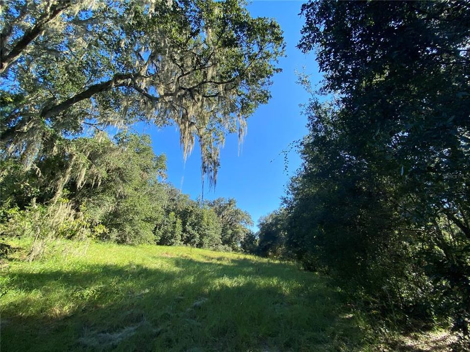 For Sale: $515,000 (18.65 acres)