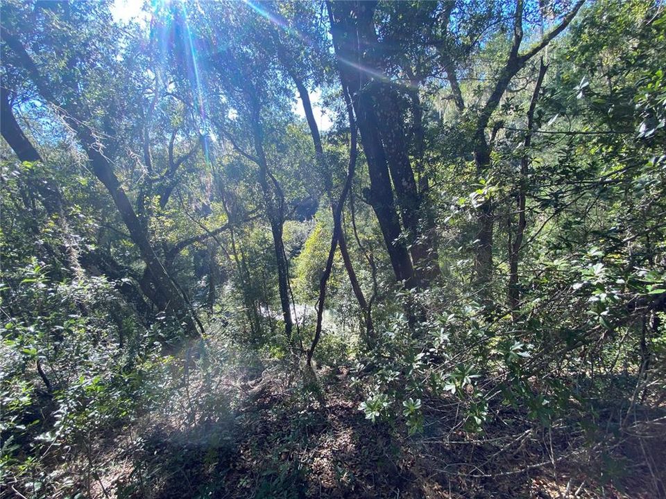 For Sale: $515,000 (18.65 acres)