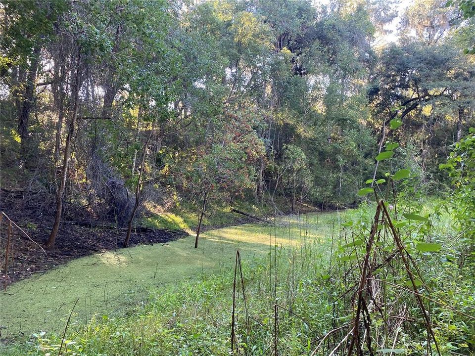 For Sale: $515,000 (18.65 acres)