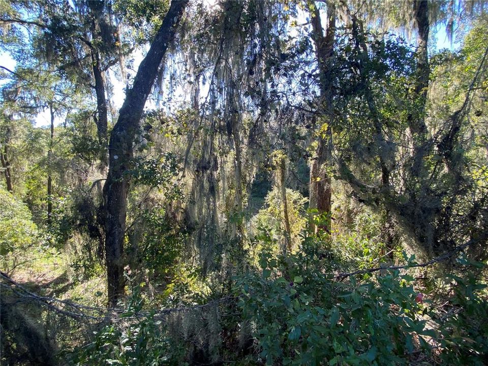 For Sale: $515,000 (18.65 acres)