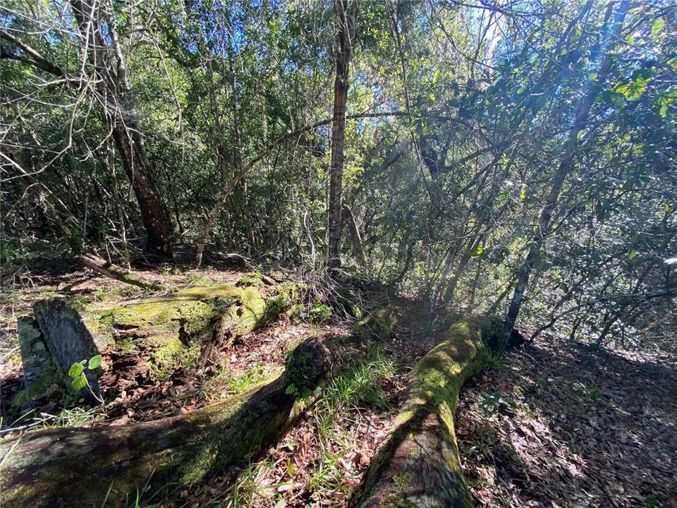 For Sale: $515,000 (18.65 acres)