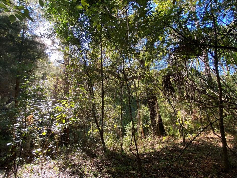 For Sale: $515,000 (18.65 acres)