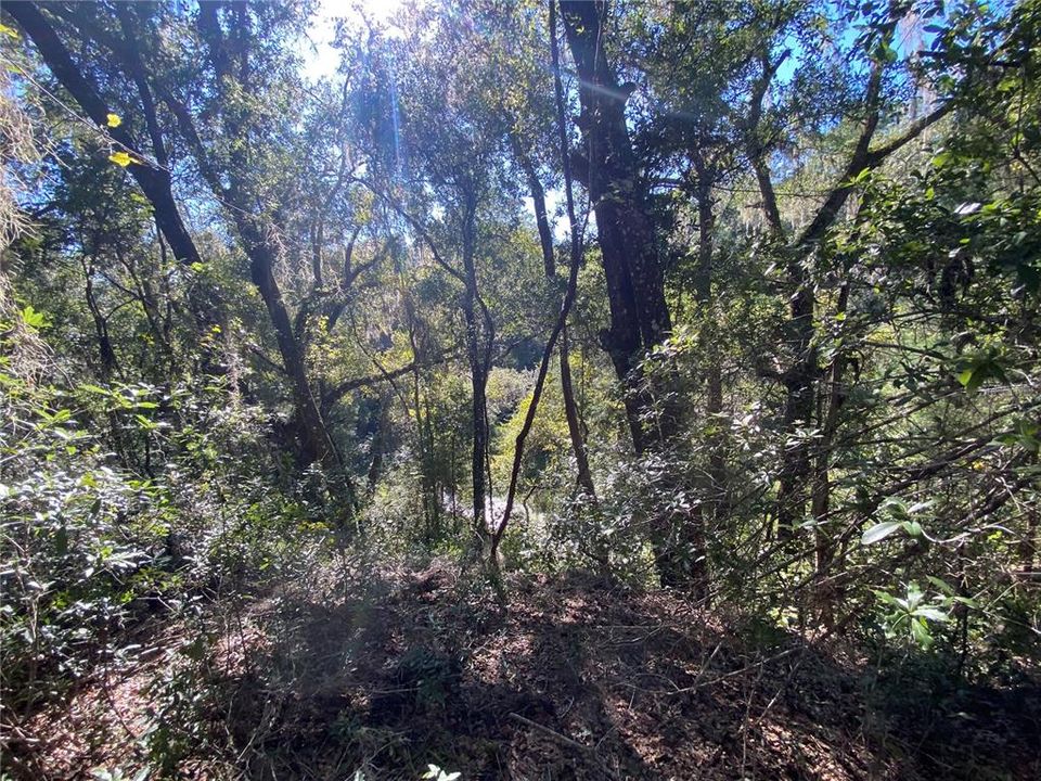 For Sale: $515,000 (18.65 acres)