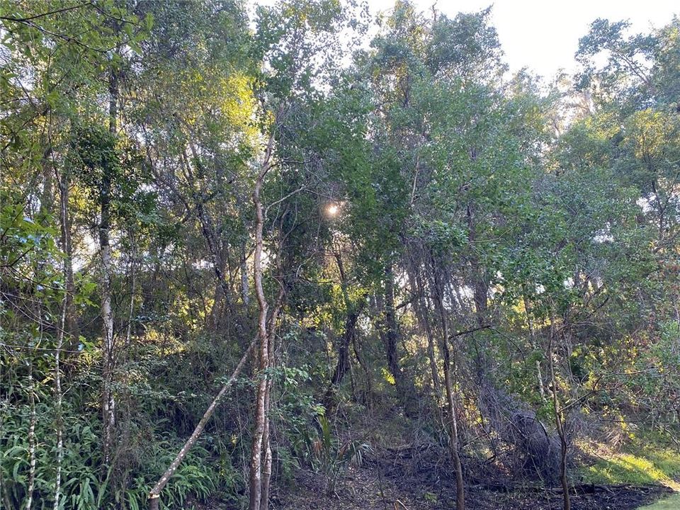 For Sale: $515,000 (18.65 acres)