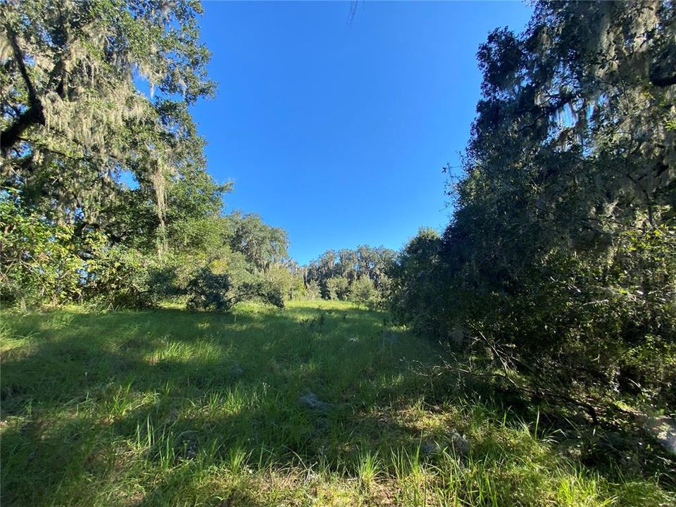 For Sale: $515,000 (18.65 acres)