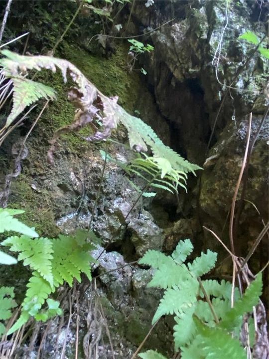 For Sale: $515,000 (18.65 acres)