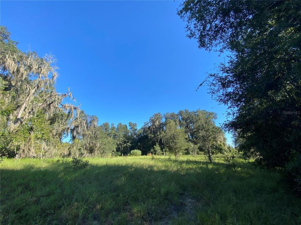 For Sale: $515,000 (18.65 acres)