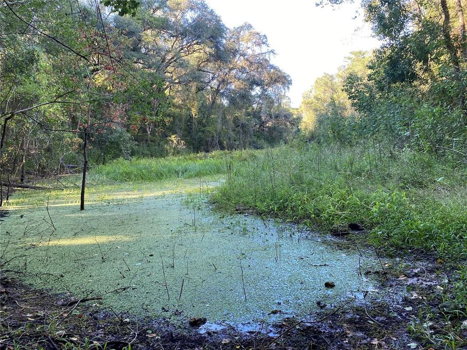 For Sale: $515,000 (18.65 acres)