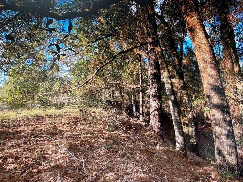 En Venta: $499,000 (18.10 acres)