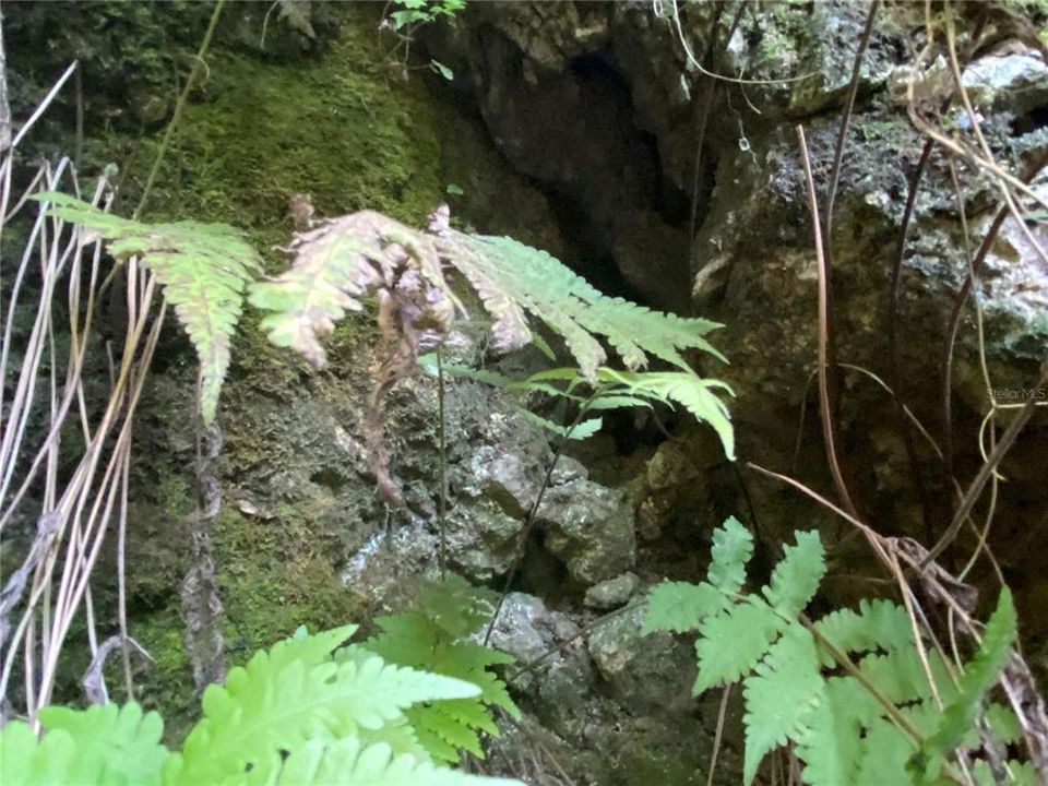 En Venta: $499,000 (18.10 acres)