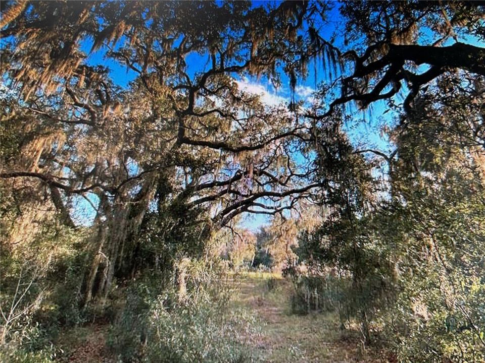 En Venta: $499,000 (18.10 acres)