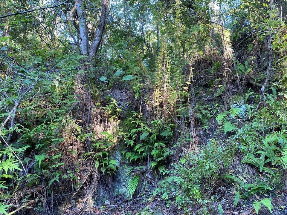 En Venta: $499,000 (18.10 acres)