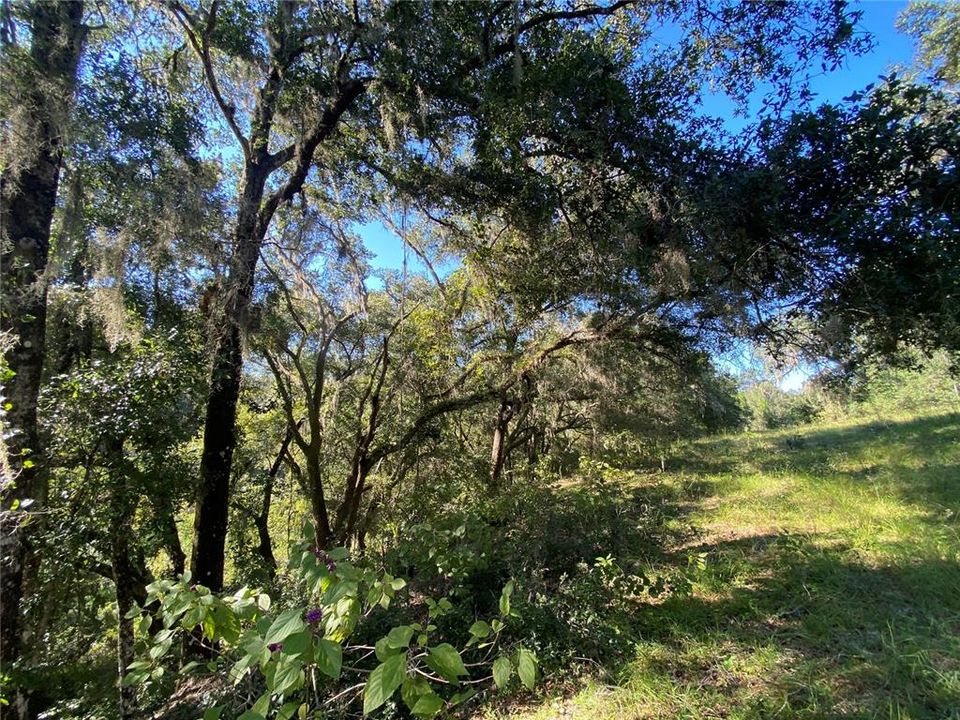 En Venta: $499,000 (18.10 acres)