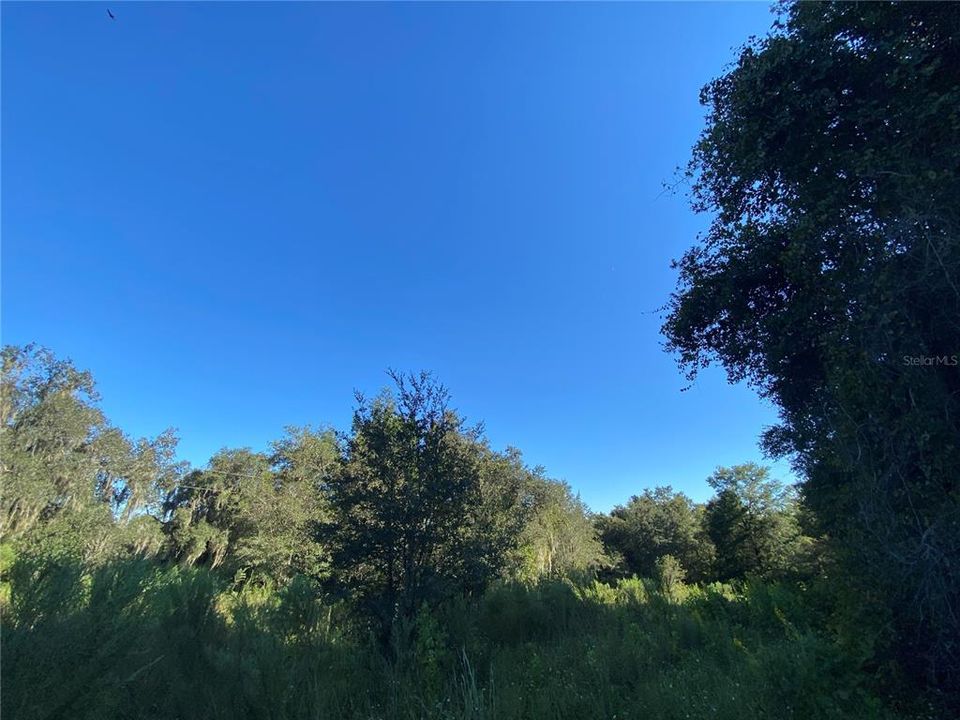 En Venta: $499,000 (18.10 acres)