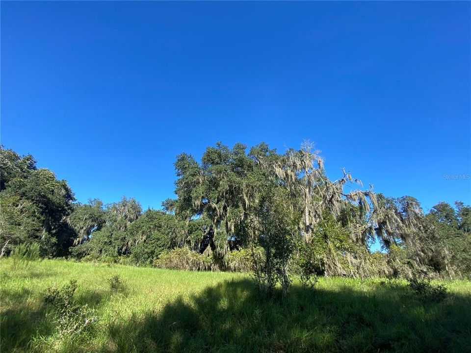 En Venta: $499,000 (18.10 acres)