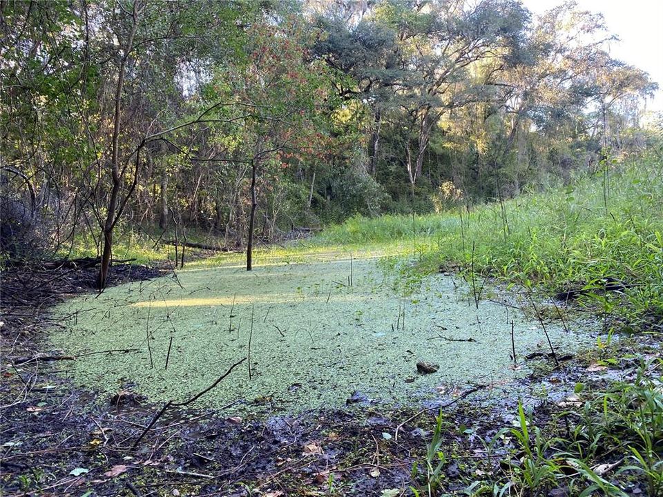 En Venta: $499,000 (18.10 acres)