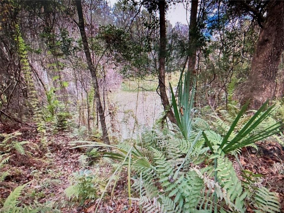 En Venta: $499,000 (18.10 acres)