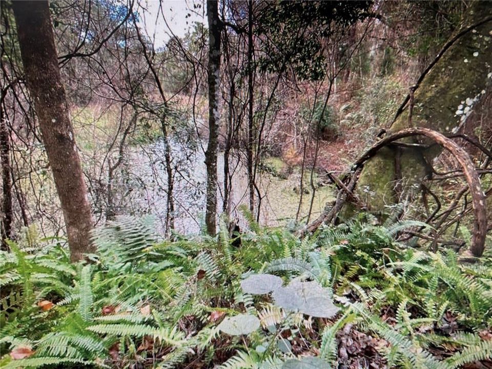 En Venta: $499,000 (18.10 acres)