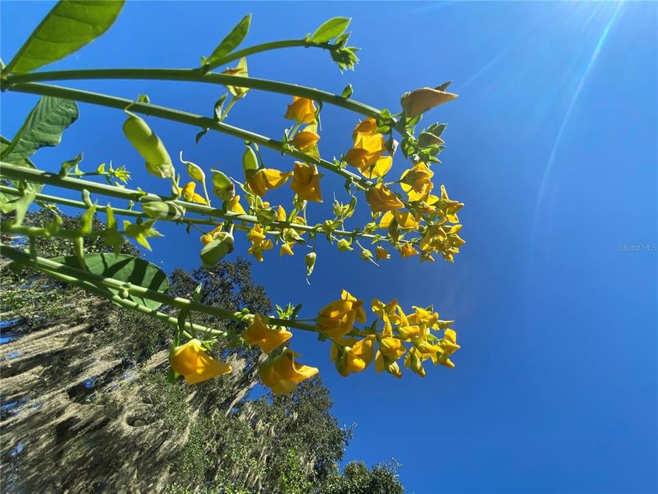 En Venta: $499,000 (18.10 acres)