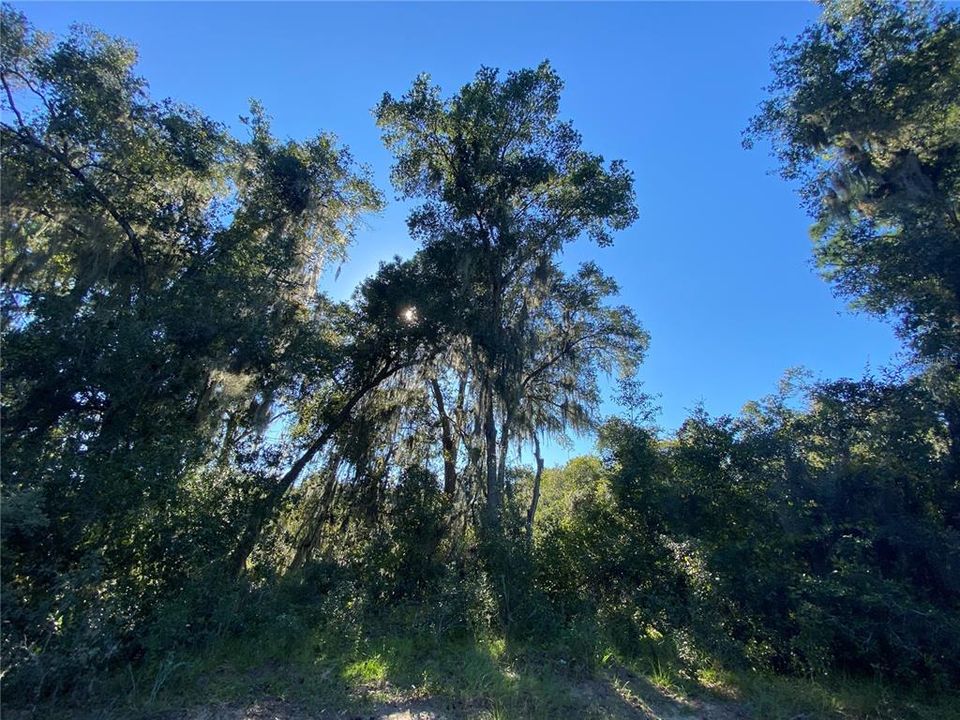 En Venta: $499,000 (18.10 acres)