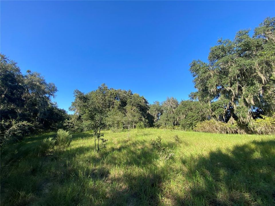 En Venta: $499,000 (18.10 acres)