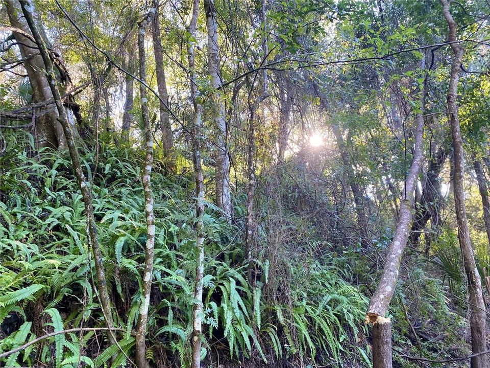 En Venta: $499,000 (18.10 acres)