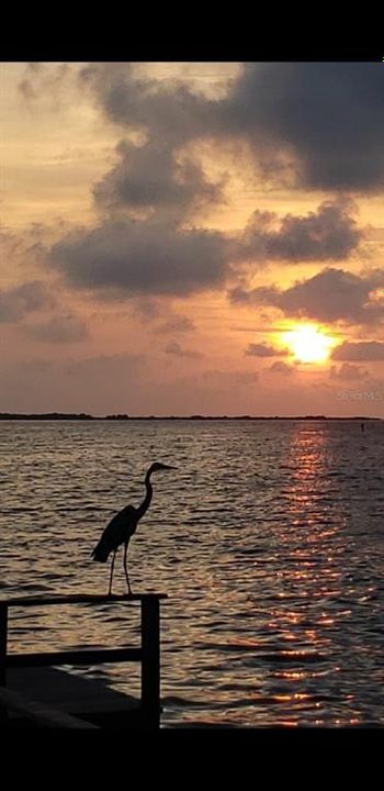 待售: $1,450,000 (3 贝兹, 2 浴室, 1962 平方英尺)