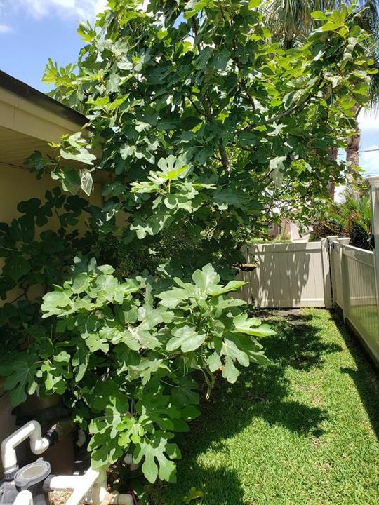 待售: $1,450,000 (3 贝兹, 2 浴室, 1962 平方英尺)