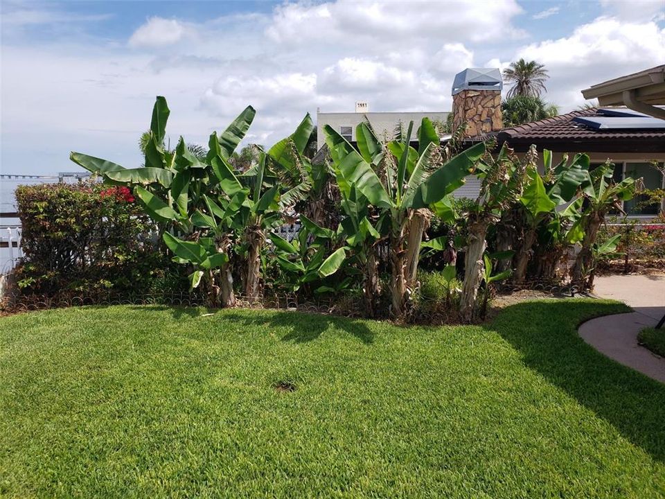 待售: $1,450,000 (3 贝兹, 2 浴室, 1962 平方英尺)