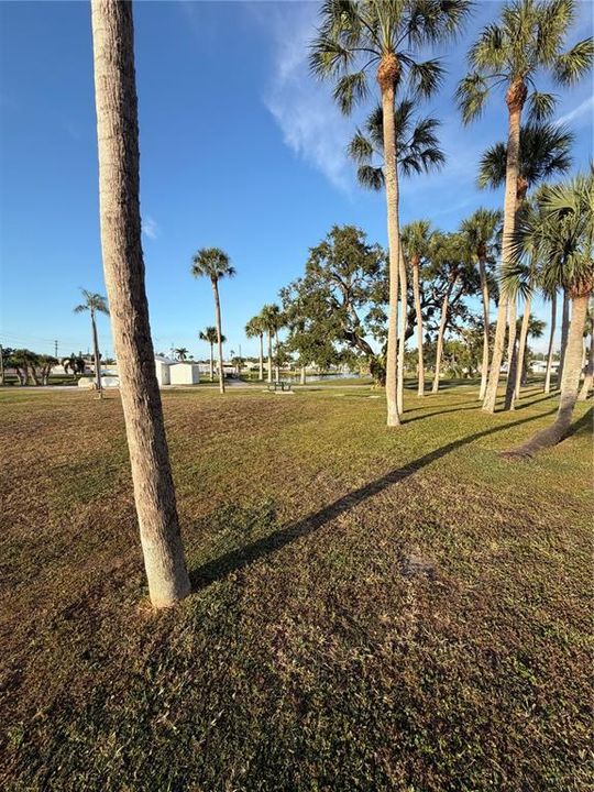 For Sale: $59,990 (0.09 acres)