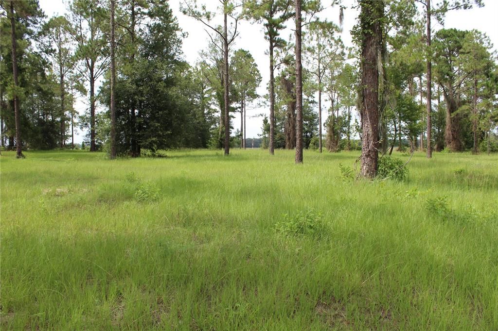 Recently Sold: $242,500 (6.36 acres)