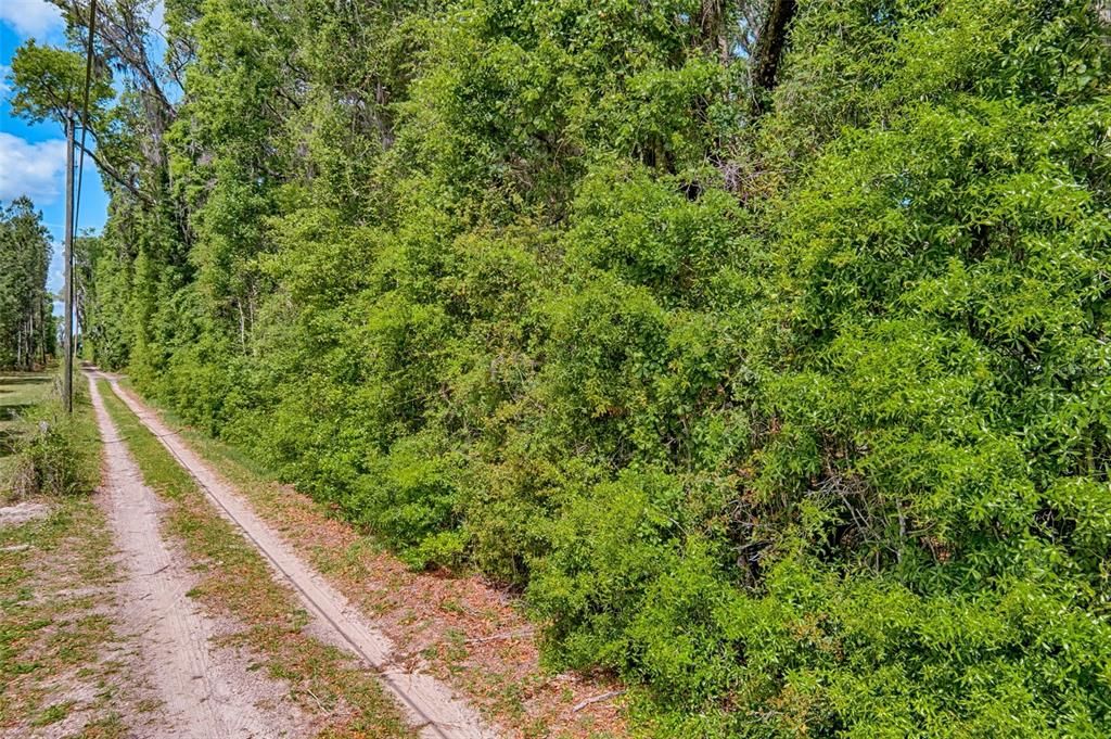 На продажу: $149,999 (7.18 acres)