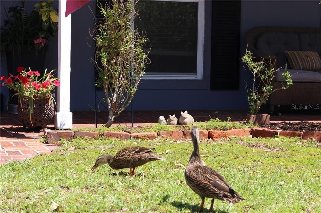 For Sale: $335,000 (3 beds, 2 baths, 1645 Square Feet)