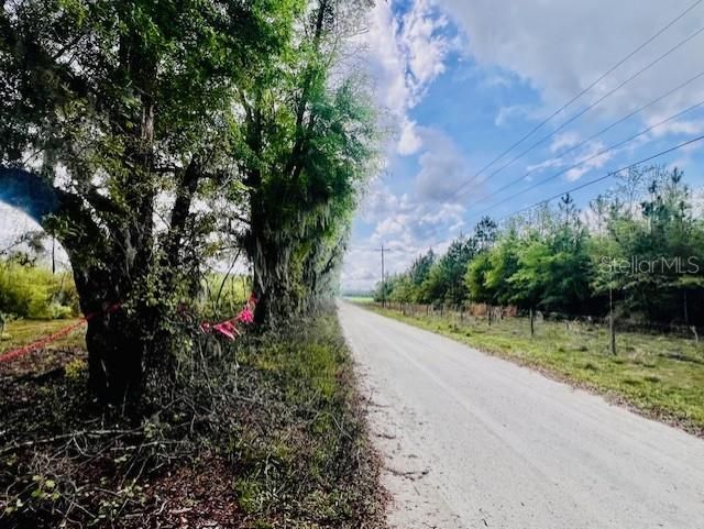 待售: $195,000 (20.00 acres)